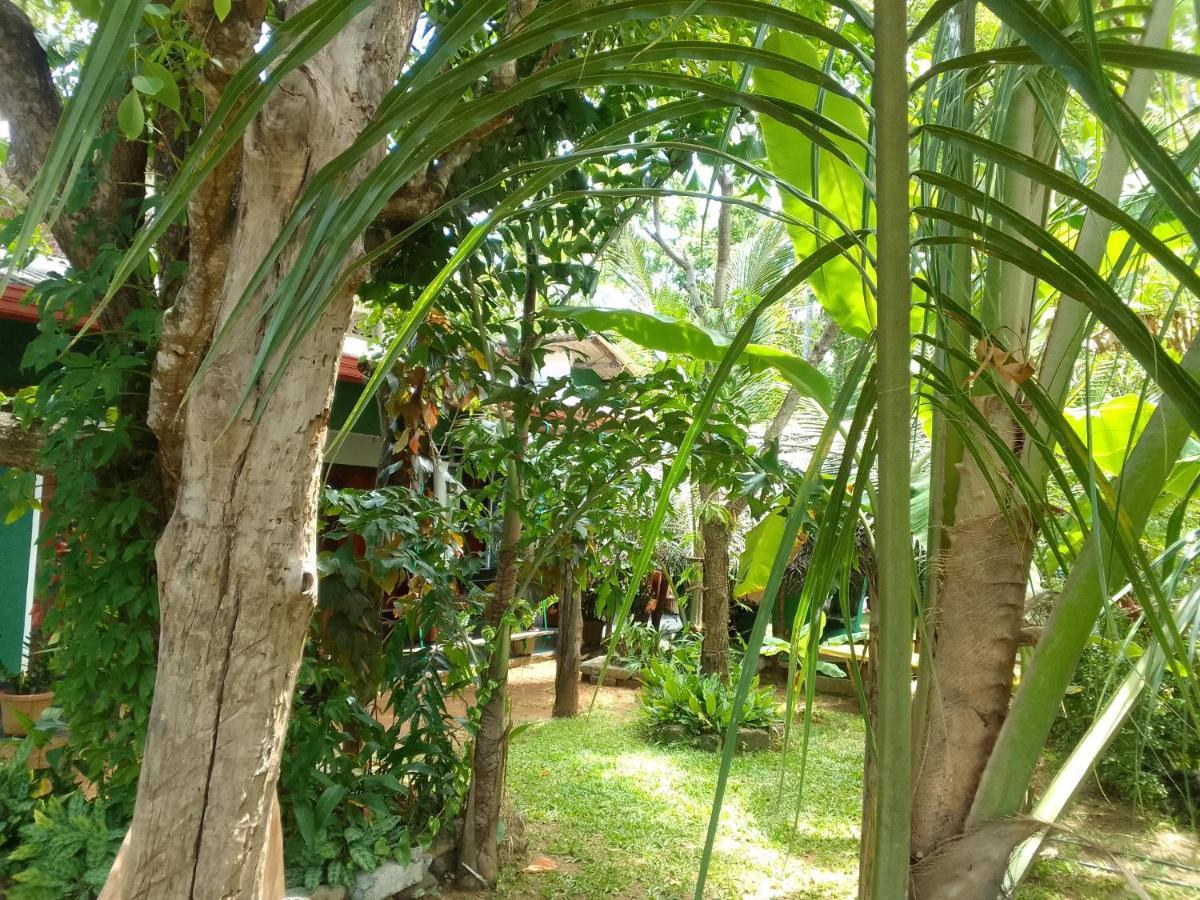 Sigiriya Village Home Stay & Private Room Exterior photo